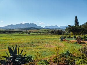 Kanu Wines