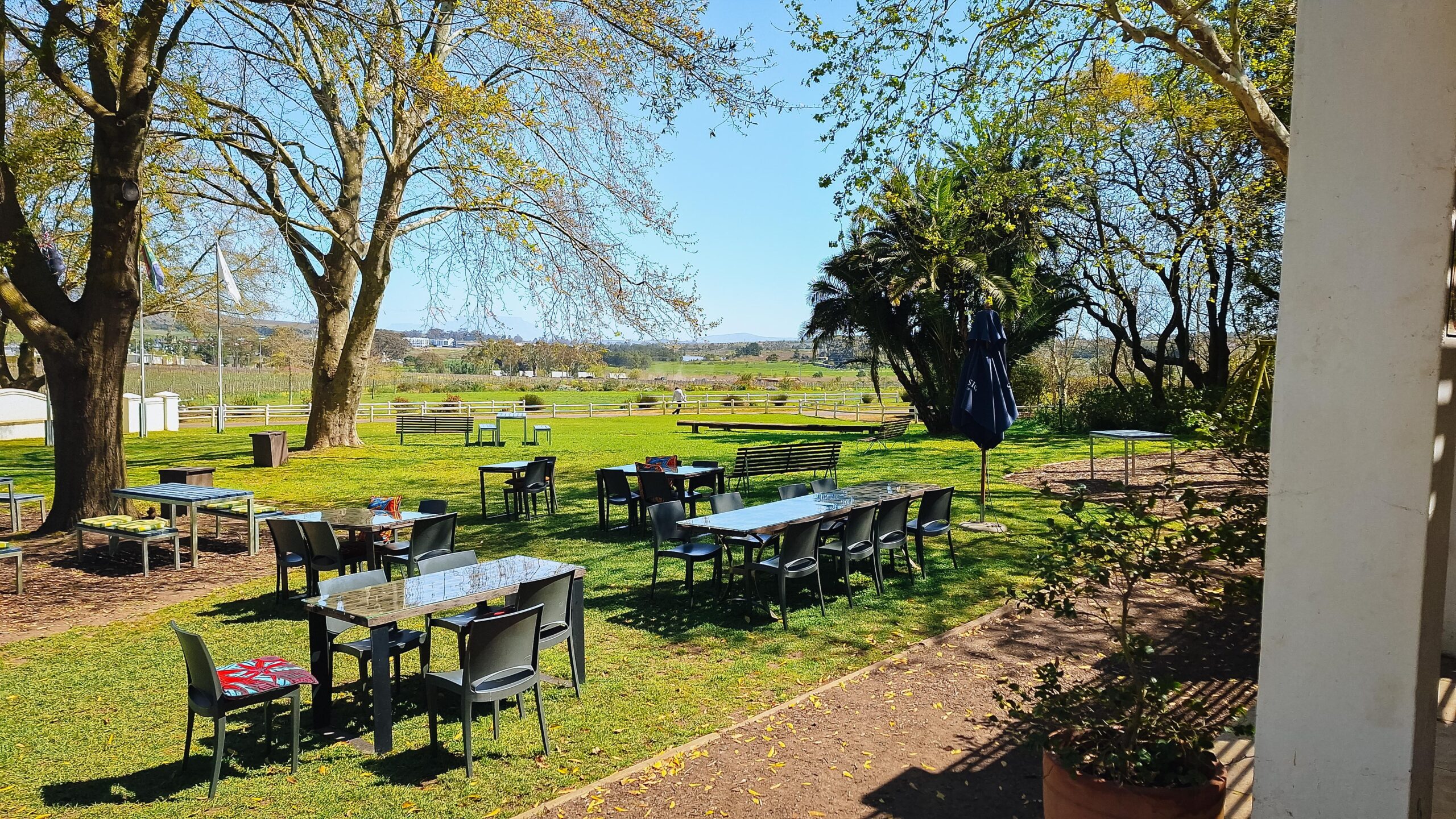 Simonsig Family Vineyards