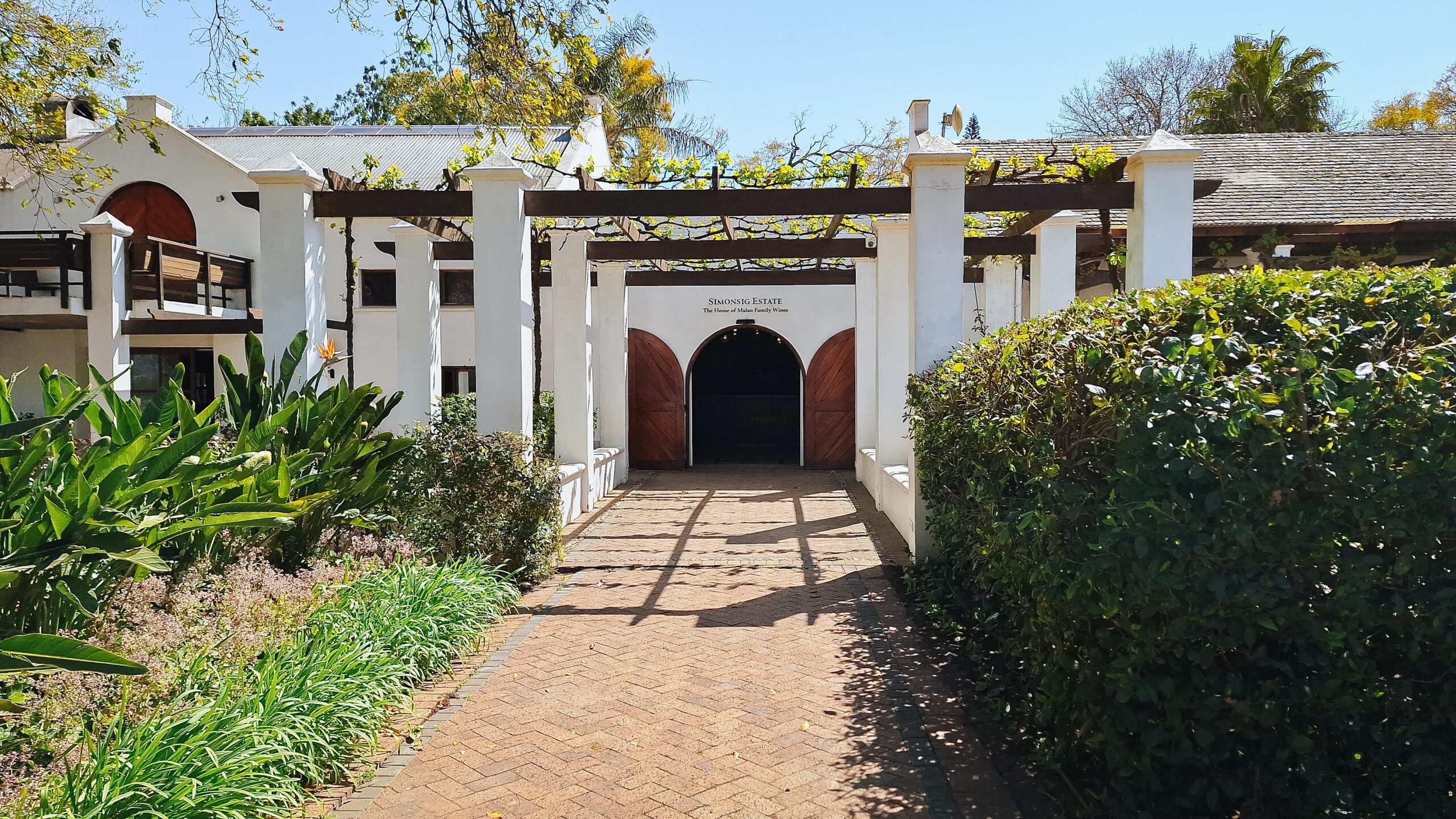 Simonsig Family Vineyards