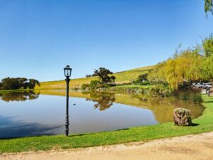 Jordan Wine Estate
