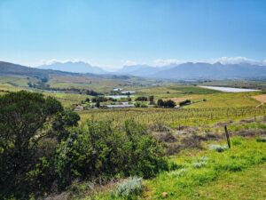 Jordan Wine Estate