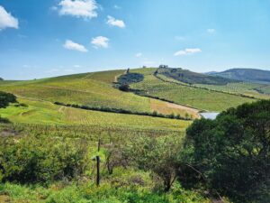 Jordan Wine Estate