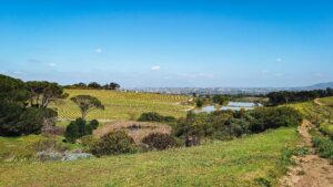 Jordan Wine Estate