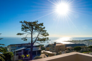 Dogon Group Properties