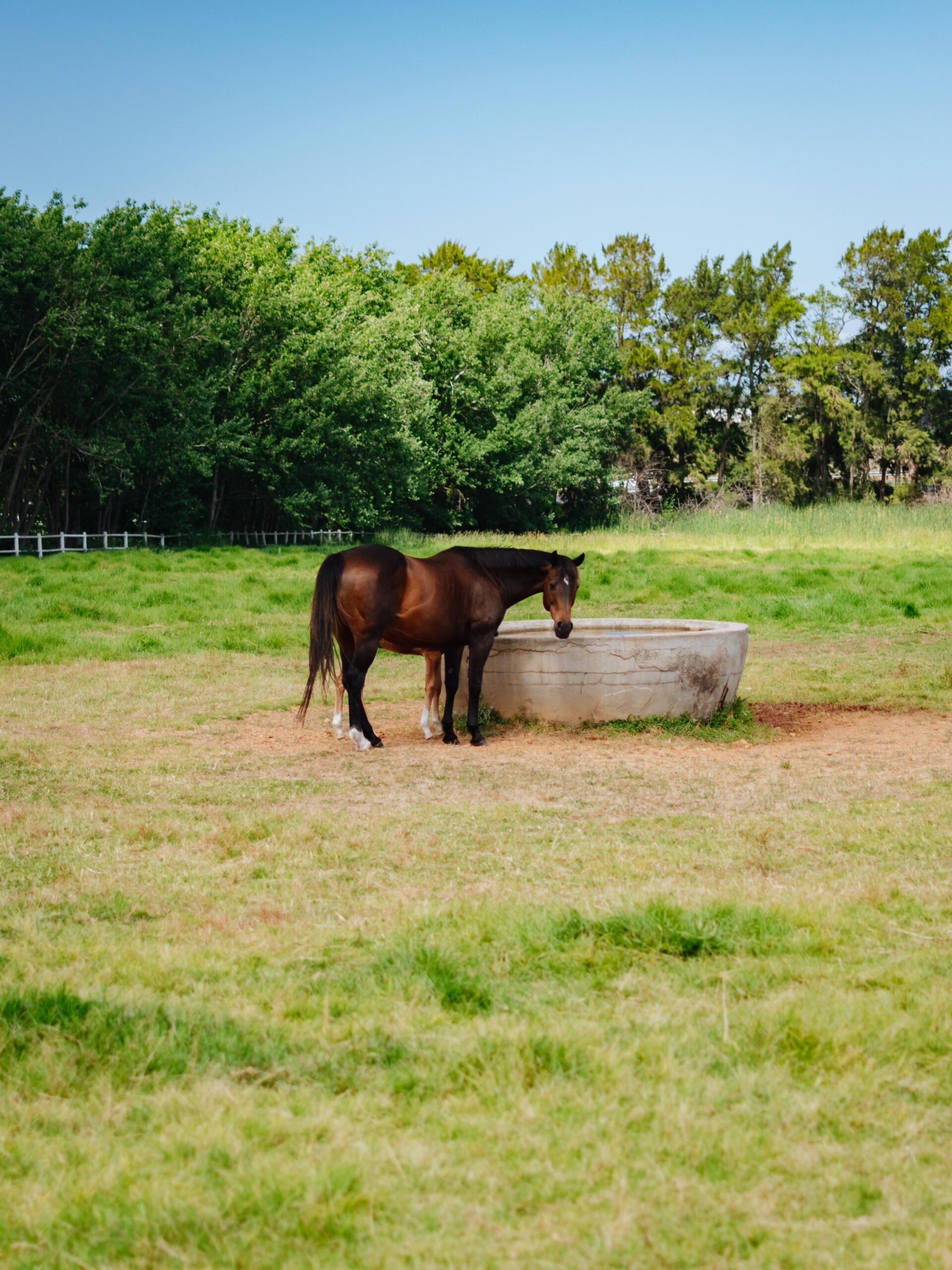 Avontuur Wine Estate