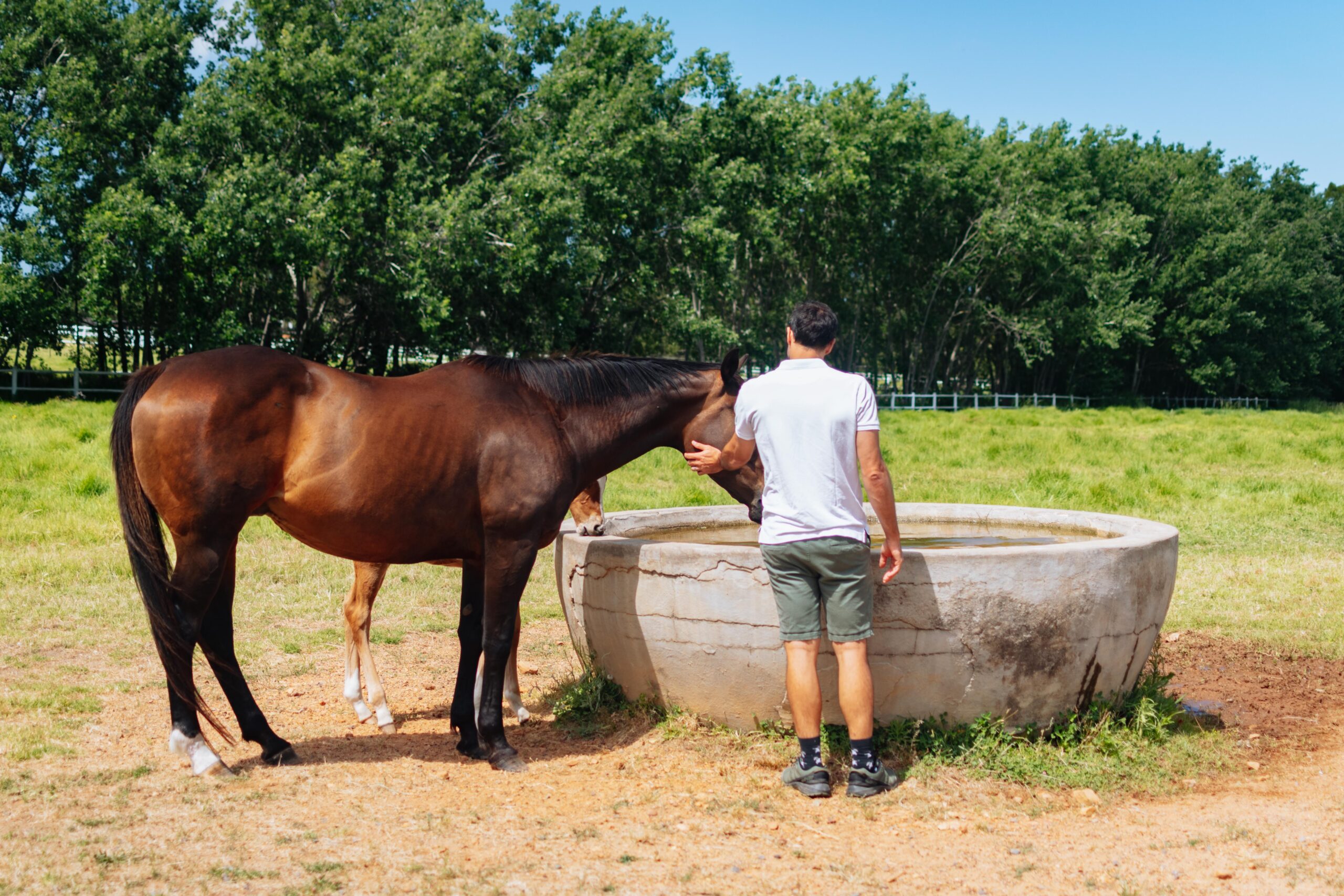 Avontuur Wine Estate
