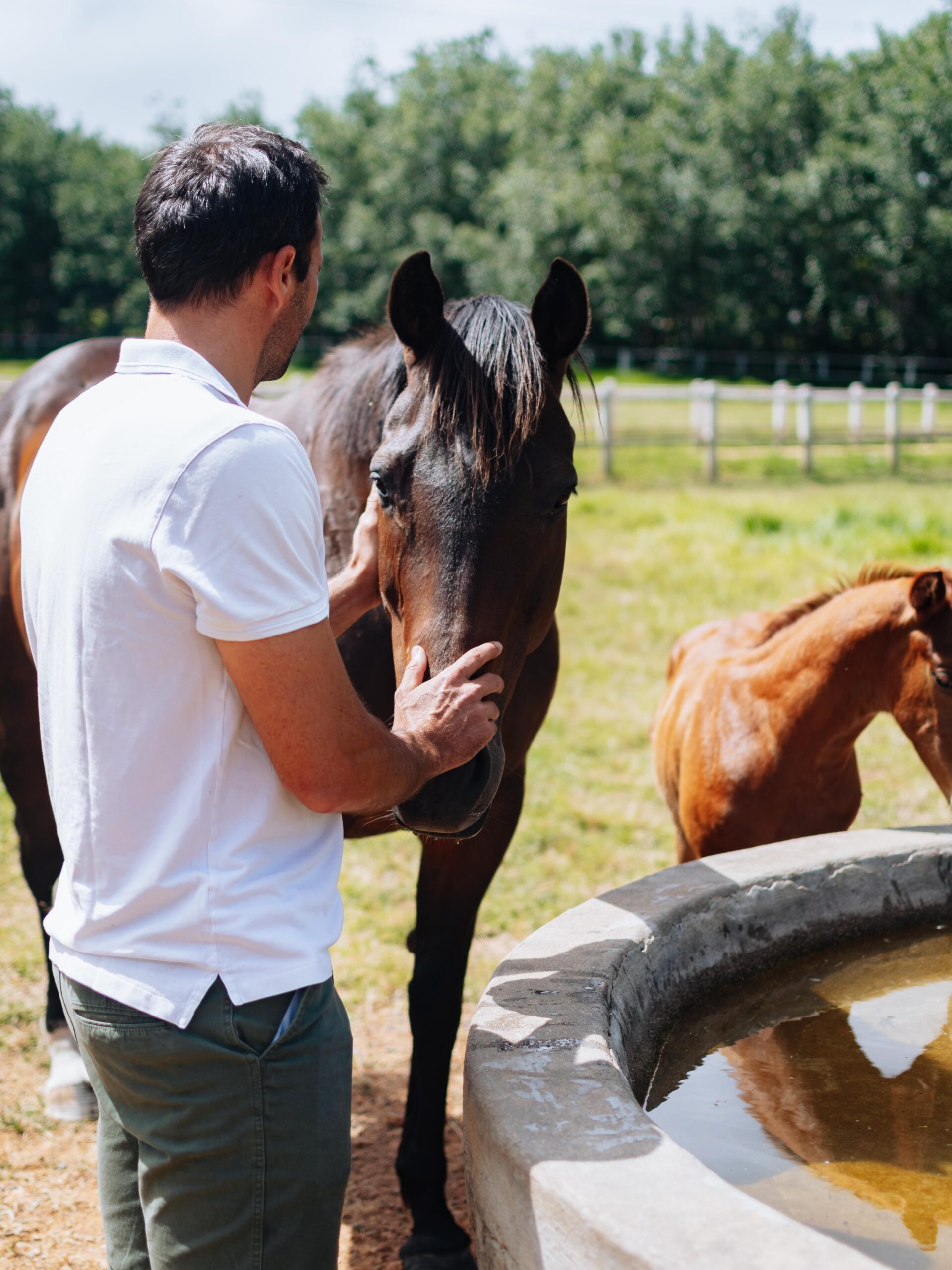 Avontuur Wine Estate