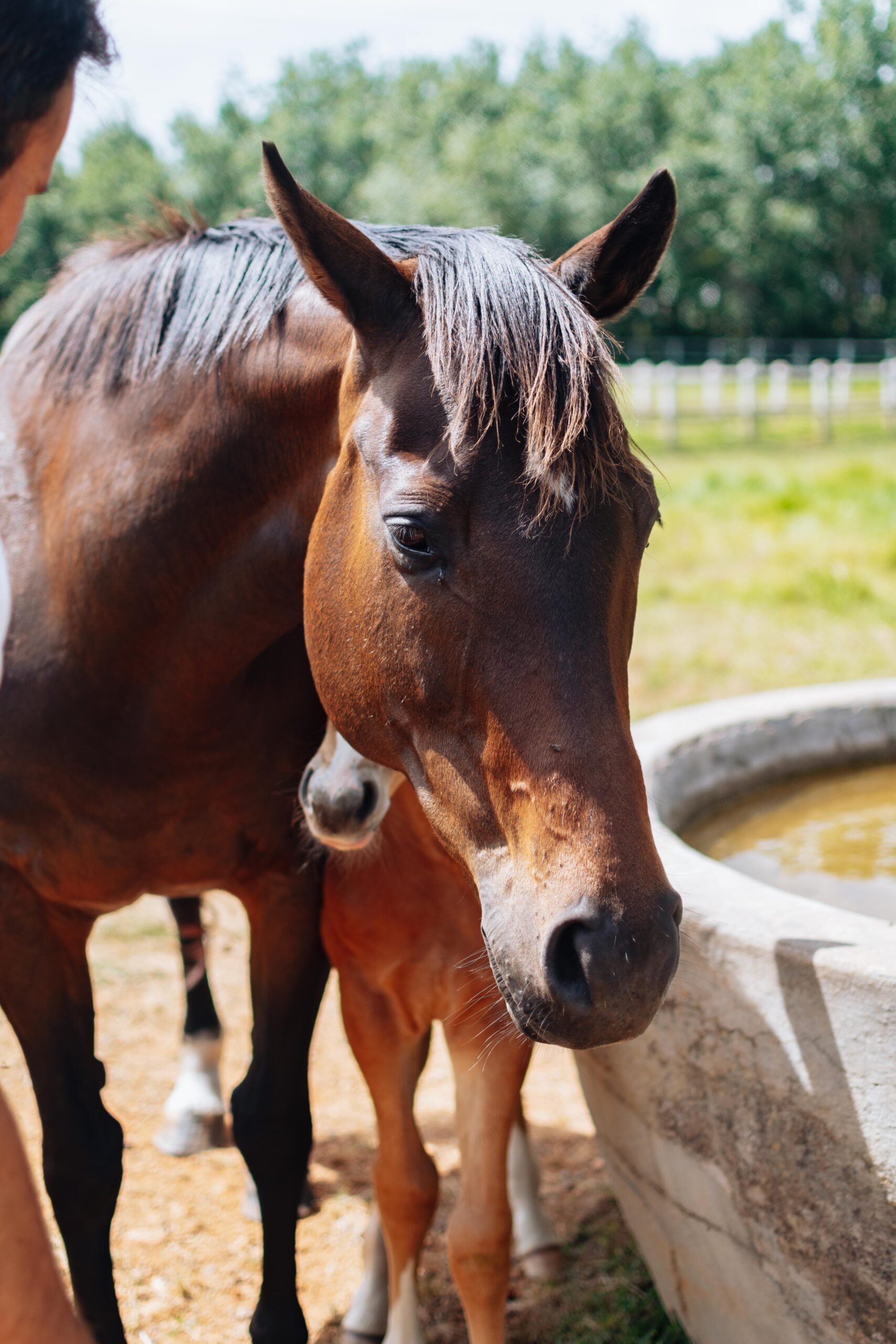 Avontuur Wine Estate