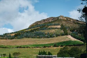 Beau Constantia