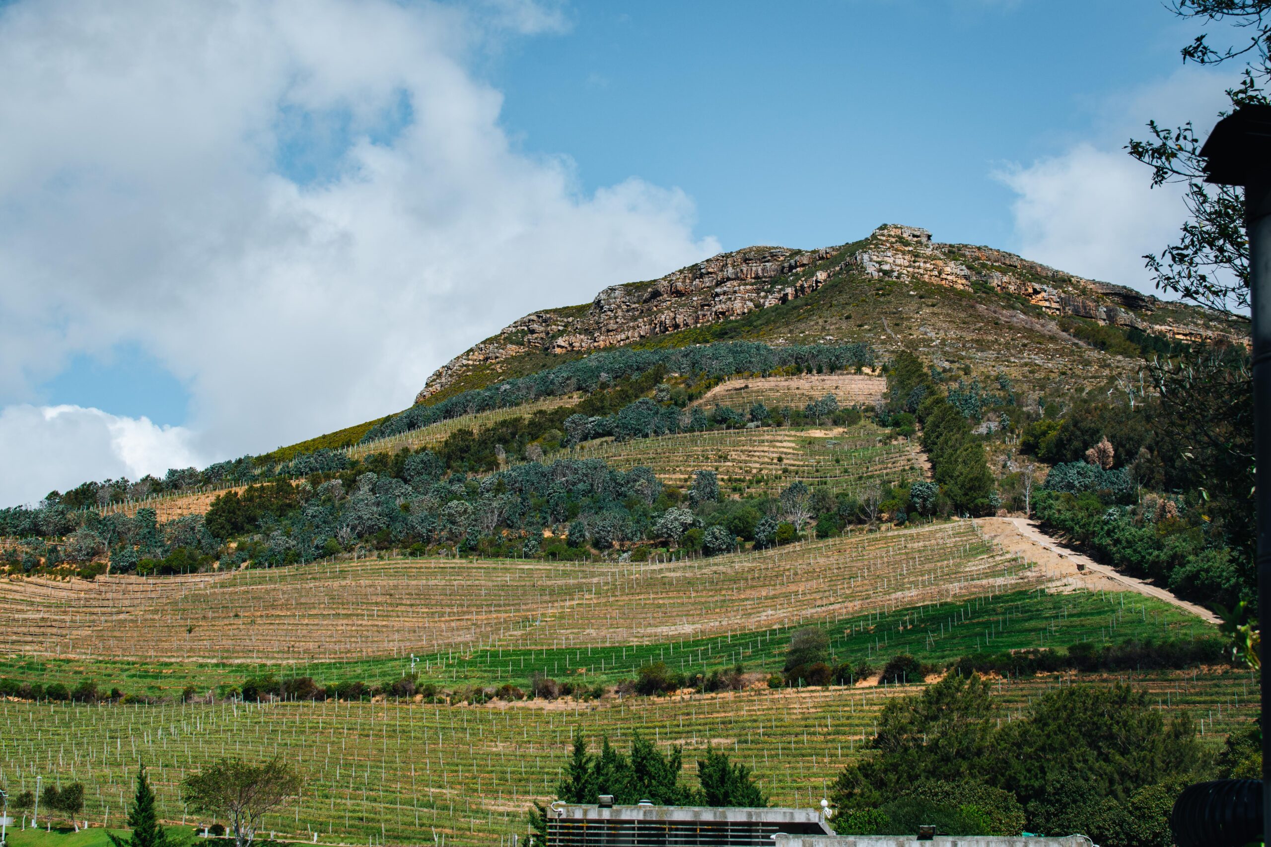 Beau Constantia