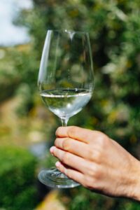 Beau Constantia