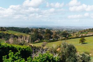 Beau Constantia