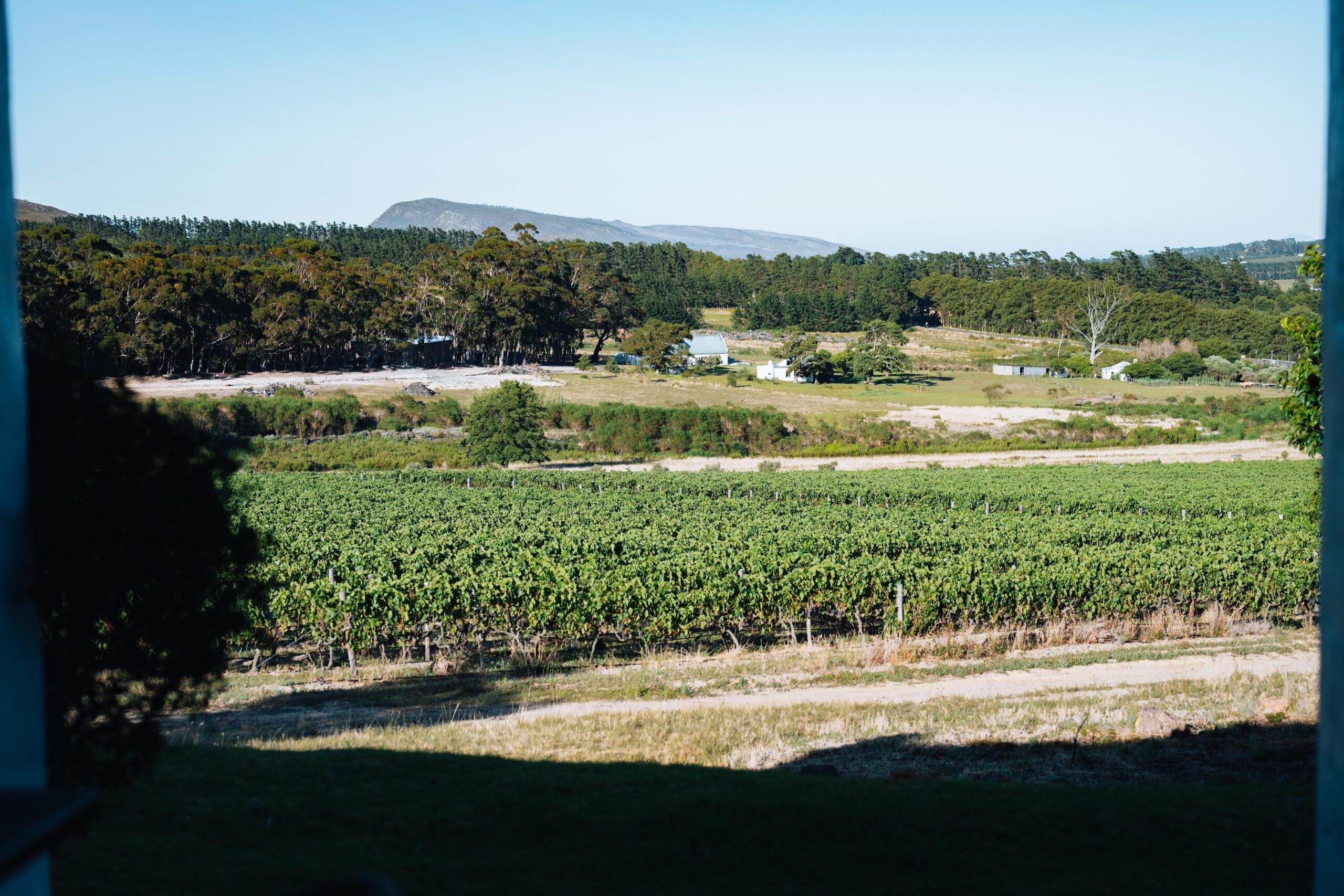 Spookfontein Wines & Tastings