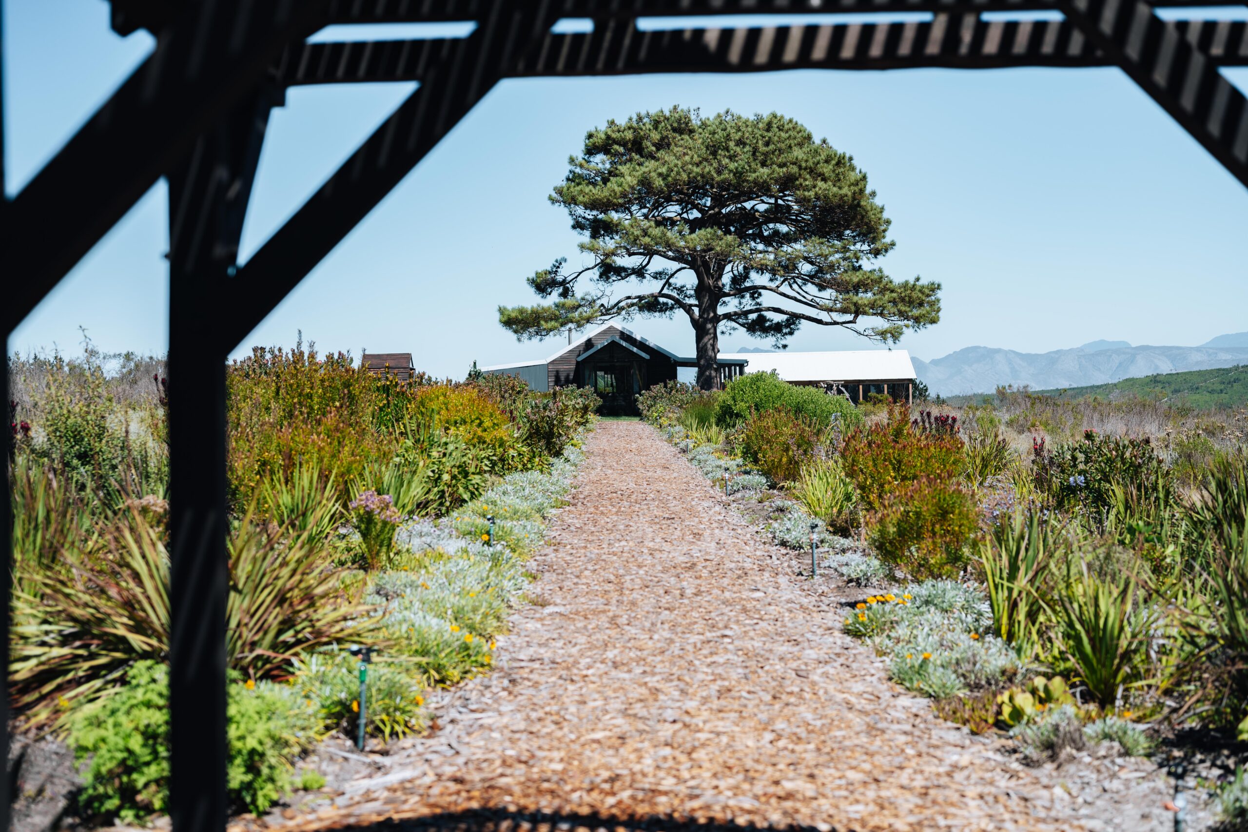 Bosman Wines Hermanus