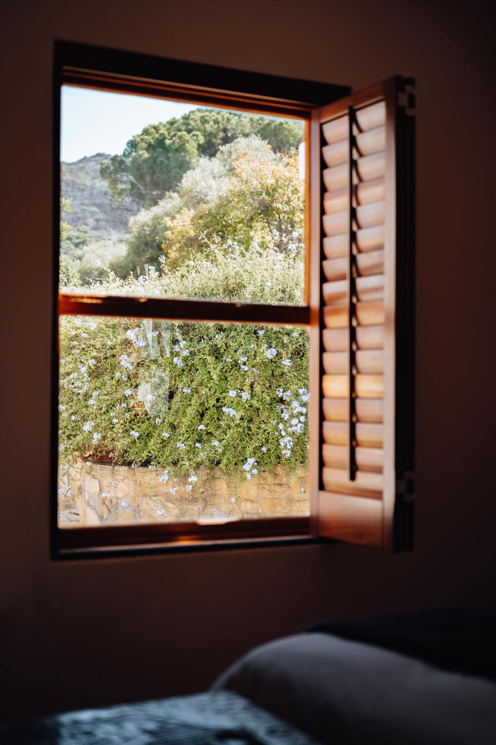 Ayama Wines Stellenbosch