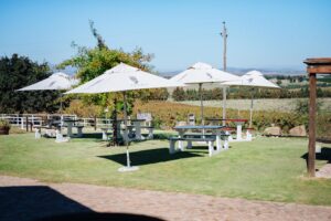 Ayama Wines Stellenbosch